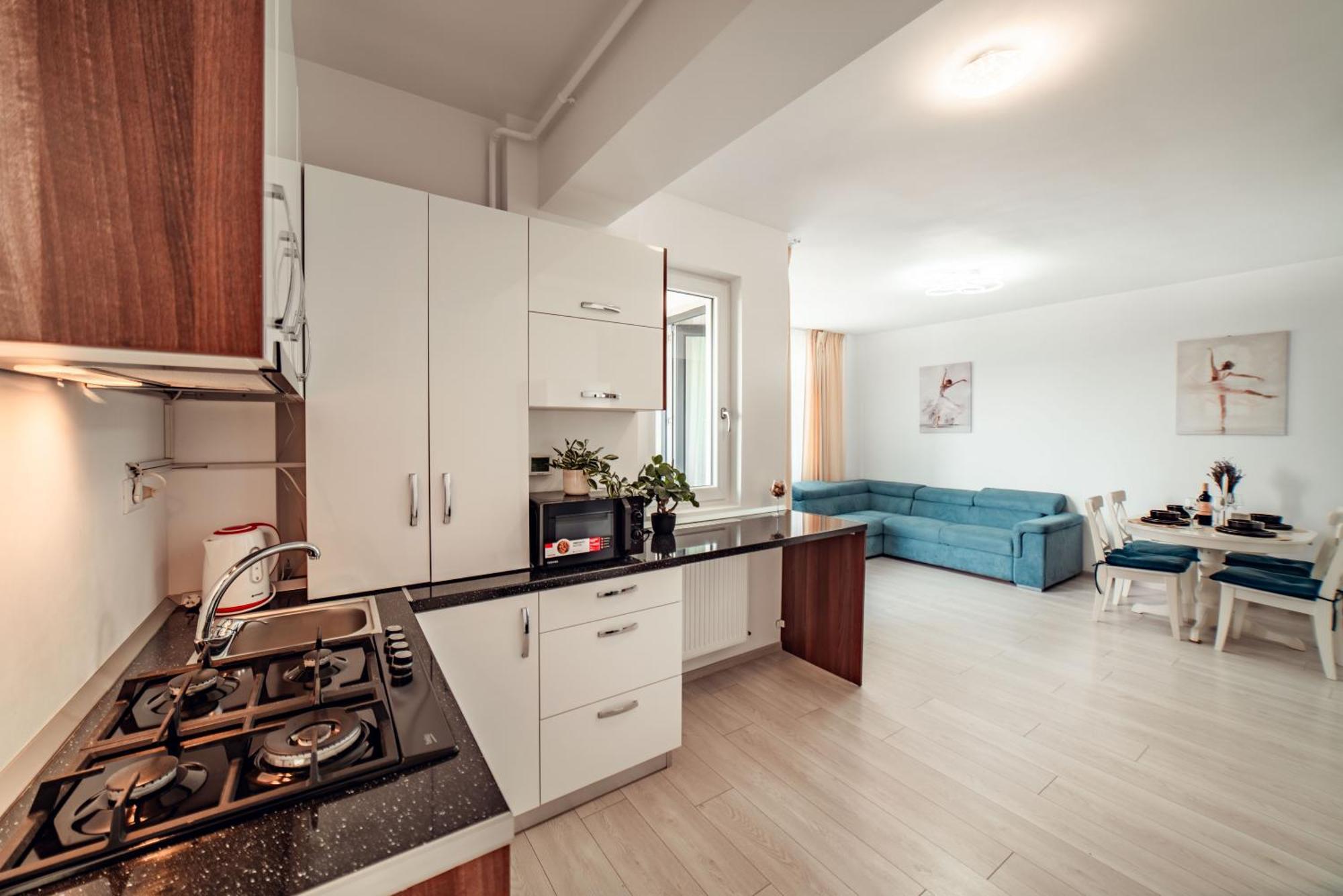Cozy Collection Apartments At Palas Mall 이아시 외부 사진